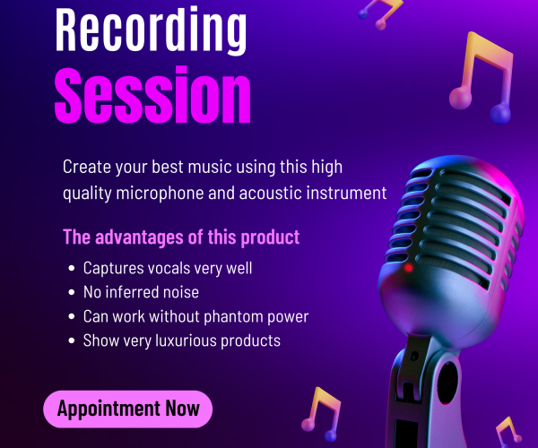 Audio Recording Session Hourly
